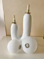 Organic Shape Twin Ball Table Lamp