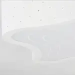 PL0209