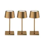 Pack duo brown mini