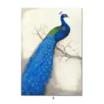 Peacock Canvas