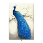 Peacock Canvas