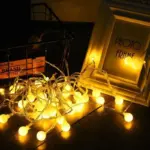Pearl String Lights