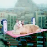 Pet Window Hammock