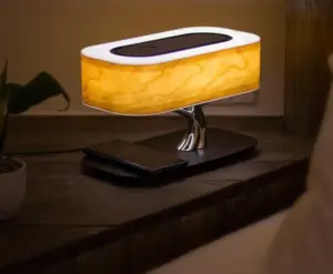 Picasso Speaker Lamp
