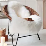 PlushaThrow Homeko4