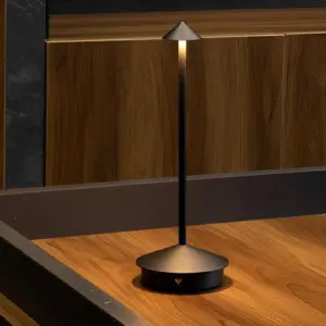 Portable USB Pina Table Lamp Touch Dimmable LED Wireless Night Light