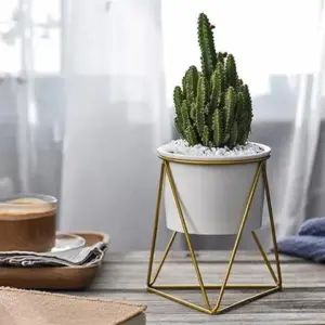 Pot with Geometric Iron Rack