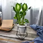 Pot-with-Geometric-Iron-Rack-Decorfaure-1685703902 Pot with Geometric Iron Rack Decorfaure