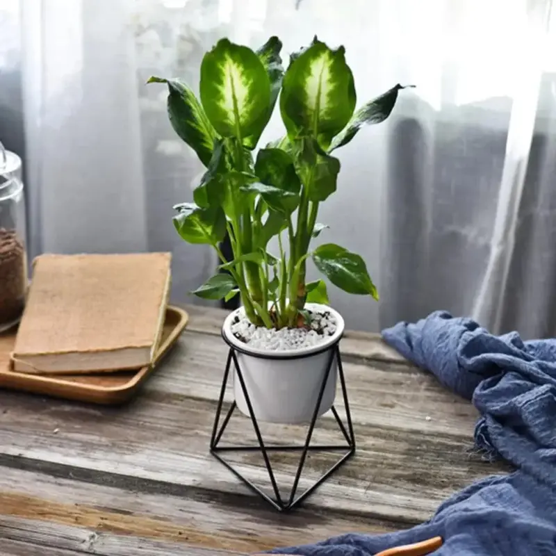 Pot with Geometric Iron Rack Decorfaure