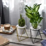 Pot-with-Geometric-Iron-Rack-Decorfaure-1685703962 Pot with Geometric Iron Rack Decorfaure