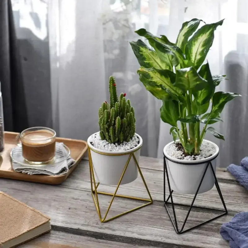 Pot with Geometric Iron Rack Decorfaure