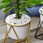 Pot-with-Geometric-Iron-Rack-Decorfaure-1685704055 Pot with Geometric Iron Rack Decorfaure