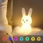 RabbitLEDNightLight-Homeko1 RabbitLEDNightLight Homeko1