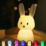 RabbitLEDNightLight-Homeko2 RabbitLEDNightLight Homeko2