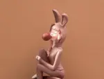 RabbitLadyStorage Homeko7