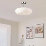 RetroAmberRoundGlassCeilingLight Homdiy