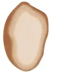 S0d6b50e160ea480999d16b88e3cd5de5y 81a7bc7a e543 4eeb 8629 6ee56a815cde