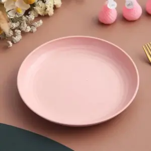 Stackable Round Dinner Plates: Unbreakable, Microwave Safe, BPA Free