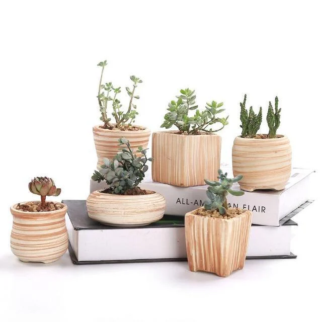 Sun E 6 In Set 3 Inch Ceramic Wooden Pattern Succulent Plant Pot Cactus Plant Pot