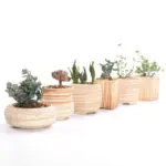 SUN E 6 in Set 3 Inch Ceramic Wooden Pattern Succulent Plant Pot Cactus Plant Pot 41a3b2fe 2cd5 4485 bbe8 ab8c4460eeec