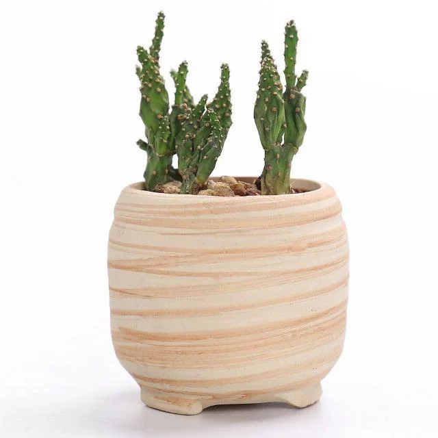 Sun E 6 In Set 3 Inch Ceramic Wooden Pattern Succulent Plant Pot Cactus Plant Pot 9b69a0ab C27b 451d B558 F018adbdada6