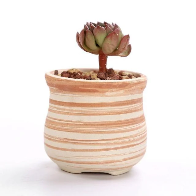 Sun E 6 In Set 3 Inch Ceramic Wooden Pattern Succulent Plant Pot Cactus Plant Pot 9ca67f62 75d9 4632 B178 57491b6a1421