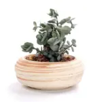 SUN E 6 in Set 3 Inch Ceramic Wooden Pattern Succulent Plant Pot Cactus Plant Pot d93e0899 d2cb 48da a6d5 ac2723c69f2d