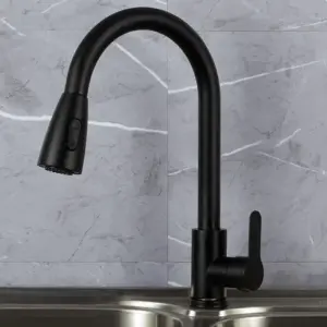 Matte Black Kitchen Faucet - Pull-out Hand Shower