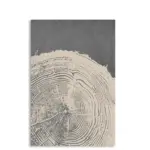 Scccd27a9b0f74080bccc6d6d8fdff306j