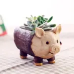 Schattige Sappige Planter Varken Geschenkvormige Cartoon Huisdecoratie Bloempotten Varken.jpg b2a65180 febb 413d 887b ba0d9fa68e9c