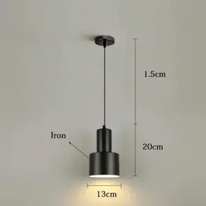Modern Metal Pendant Lights