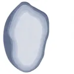 Seaa29bc477514079854863543ac4f919X 602fa405 1ccb 4ebb a1be 6b85775d00a8