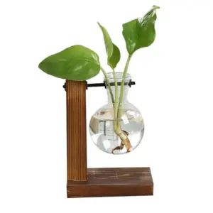 Vintage Terrarium Hydroponic Plant Vase: Elegant Home Décor