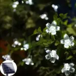 Solar-Garden-Light-Led-Flower-Lighting-Fairy-String-Lights-Outdoor-Christmas-Chain-Lamp-Blossom-Festoon-Party_6ddcf3e1-6c79-48fe-8edf-49b8f4e082bb Solar Garden Light Led Flower Lighting Fairy String Lights Outdoor Christmas Chain Lamp Blossom Festoon Party 6ddcf3e1 6c79 48fe 8edf 49b8f4e082bb