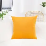 Solid-Color-Velvet-Cushion-Cover-Candy-Color-Pillow-Cover-For-Sofa-Office-Waist-Back-Cover-Home.jpg_640x640_1f2d144f-53c3-45a0-bd6b-0e450e2376bb Solid Color Velvet Cushion Cover Candy Color Pillow Cover For Sofa Office Waist Back Cover Home.jpg 640x640 1f2d144f 53c3 45a0 bd6b 0e450e2376bb