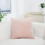 Solid-Color-Velvet-Cushion-Cover-Candy-Color-Pillow-Cover-For-Sofa-Office-Waist-Back-Cover-Home.jpg_640x640_86ed448f-b3e5-4b45-b7da-75c17be706ab Solid Color Velvet Cushion Cover Candy Color Pillow Cover For Sofa Office Waist Back Cover Home.jpg 640x640 86ed448f b3e5 4b45 b7da 75c17be706ab