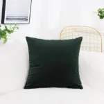 Solid-Color-Velvet-Cushion-Cover-Candy-Color-Pillow-Cover-For-Sofa-Office-Waist-Back-Cover-Home.jpg_640x640_ec9517c7-9632-488f-9d04-d6c6c9b9b5e8 Solid Color Velvet Cushion Cover Candy Color Pillow Cover For Sofa Office Waist Back Cover Home.jpg 640x640 ec9517c7 9632 488f 9d04 d6c6c9b9b5e8