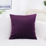 Solid-Color-Velvet-Cushion-Cover-Candy-Color-Pillow-Cover-For-Sofa-Office-Waist-Back-Cover-Home.jpg_640x640_ee8a14a5-93b7-4ad7-bd96-70a411202e23 Solid Color Velvet Cushion Cover Candy Color Pillow Cover For Sofa Office Waist Back Cover Home.jpg 640x640 ee8a14a5 93b7 4ad7 bd96 70a411202e23