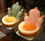 StuffedCactusPillowChairCushion