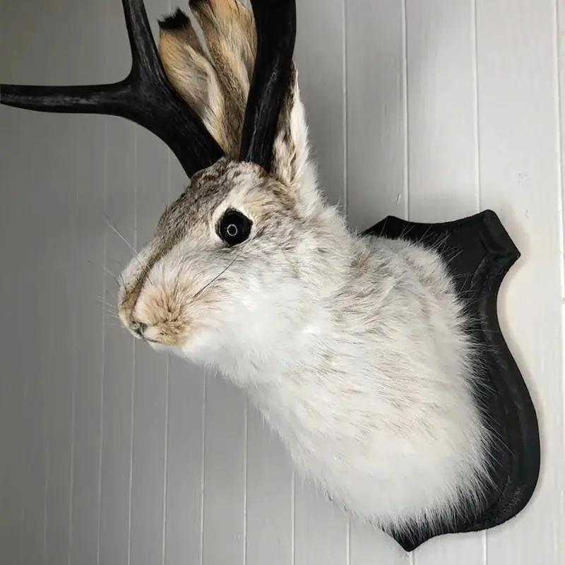 Taxidermy Head Wall Decor Deer Head Wall Mount Deer Head Wall Mount for Home Wall Decoration.jpg 979fad4a c203 4c7e 921b a75676aa7269