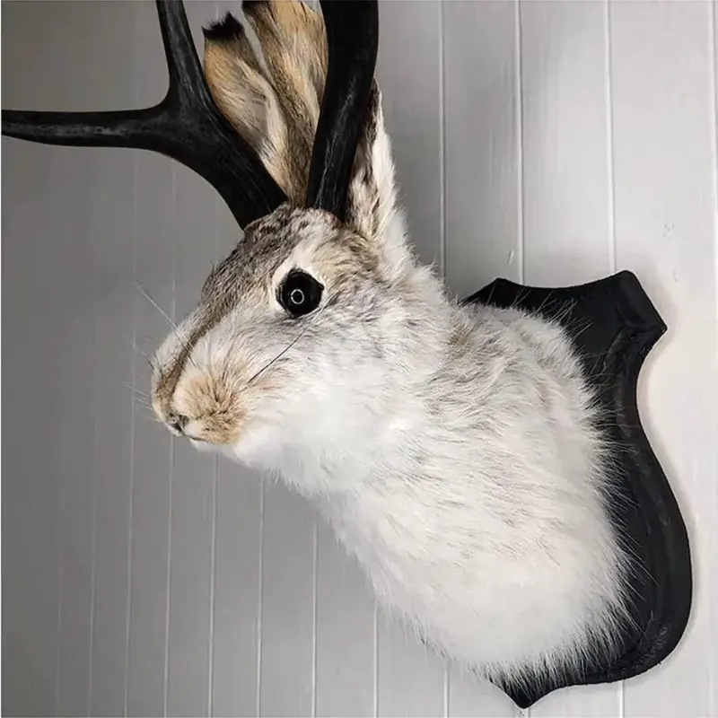 Taxidermy Head Wall Decor Deer Head Wall Mount Deer Head Wall Mount for Home Wall Decoration.jpg dbc9b812 390e 4bed a103 4f633c30298c