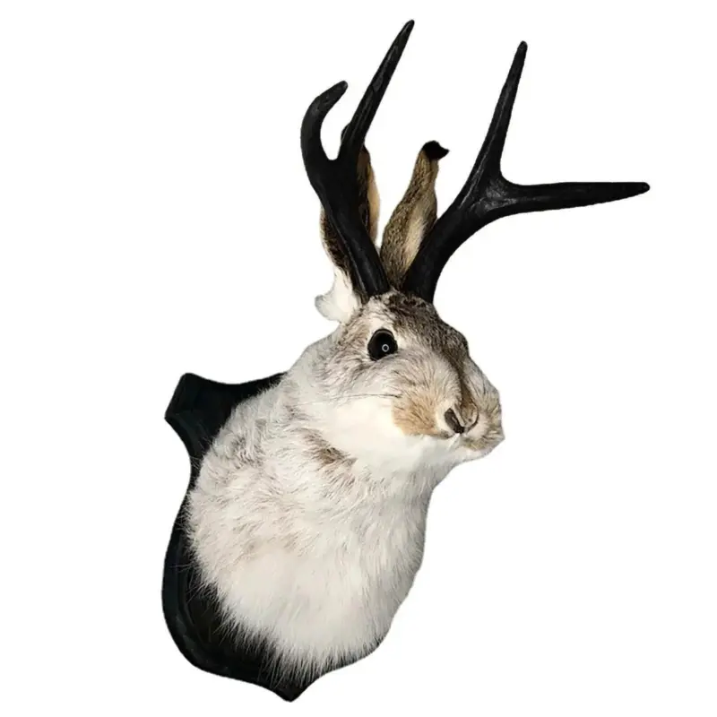 Taxidermy Head Wall Decor Deer Head Wall Mount Deer Head Wall Mount for Home Wall Decoration.jpg fee18173 a29c 425e 91b5 d6a9d0a8a4cd