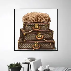 Travel