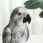 TropicalBirdDecor Homeko6