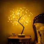 Twinkle 031 web min 900x 7f9a601a 24dc 4523 bab2 908b9696ad2d