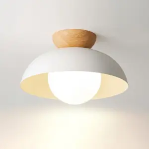 Homeko Minimalist Eco-friendly Ceiling Light