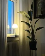 WG 25 GL Table Lamp