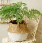 Wickerbasket white