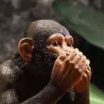 WildThreeWiseMonkeys Homeko5