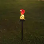 Zonne-Energie-Led-Papegaai-Gazon-Licht-Buiten-Waterdichte-Tuin-Tuin-Decoratieve-Lamp Zonne Energie Led Papegaai Gazon Licht Buiten Waterdichte Tuin Tuin Decoratieve Lamp